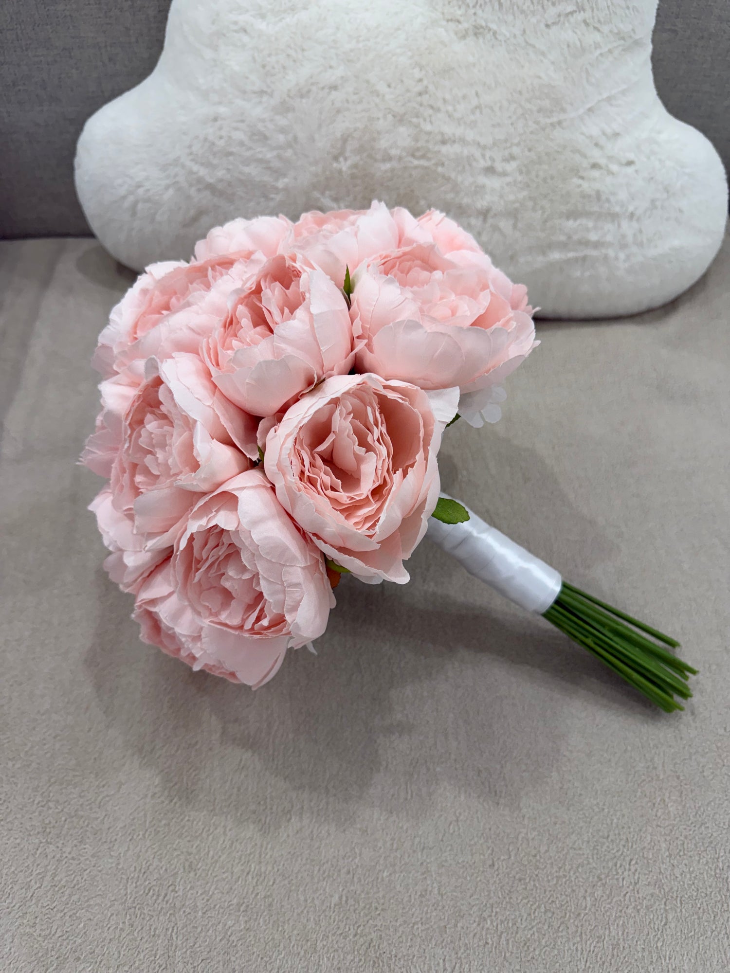 Blush Peony