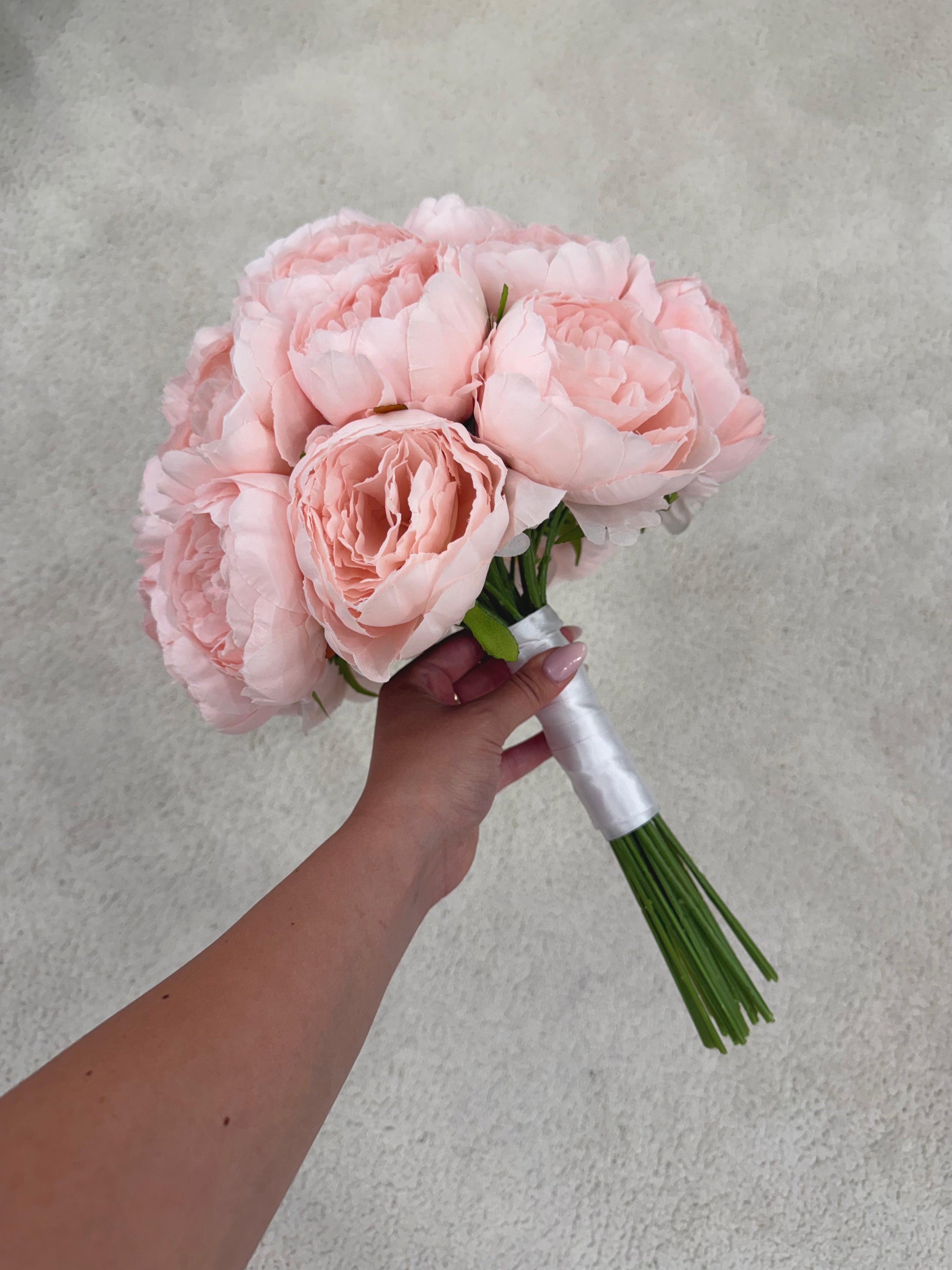 Blush Peony